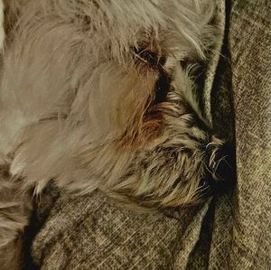 Meet your Posher, Travis